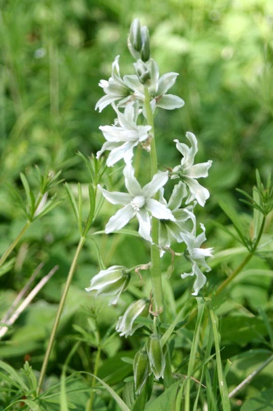 Killikus&reg; Fotographie